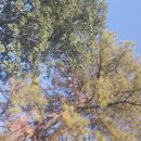 ✰𝑨𝒎𝒊𝒛𝒂𝒅𝒆𝒔 𝑬𝒕𝒆𝒓𝒏𝒂𝒔☕✰