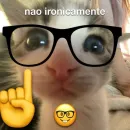 Web Abraço 🫂