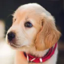 🍬💝Cute Cute🍬💝