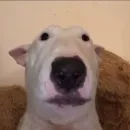 𝚉𝚞𝚎𝚛𝚊 𝟸𝟺𝚑𝚛𝚜 😵