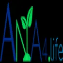 Seja um investidor Anjo