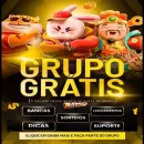 As melhores plataformas