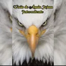 Jejum intermitente Inic&Avac