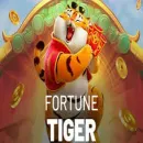 Plataformas Pagantes!