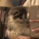 A Gangue do Bem ❤️💫