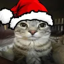 HASTY INSCRITOS/FREE FIRE