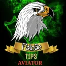 FALCÃO TIPS AVIATOR