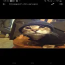 ϟ𝑫𝑹𝑨𝑮𝑶𝑵𝑺ꪶ2.0.2.4ꫂ