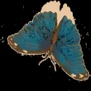 MF ＭＡＦＩＡ ㅤᴮᴿ