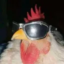 Sair do tédio ✨ 2° Temporada