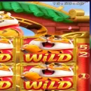 5$ plataforma pagante