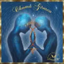 Evolução de alma gêmea