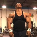 Ratos e ratas de academia