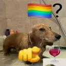 𝐋𝐆𝐁𝐓𝐒 𝐒𝐄𝐌𝐏𝐑𝐄 ✊🏳‍🌈