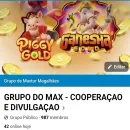Grupo do Max/ Cooperação e Divulgação