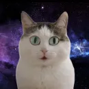 𝗨𝗡𝗜𝗩𝗘𝗥. 𝗗𝗔𝗦 𝗙𝗜𝗚𝗨𝗥𝗜𝗡𝗛AS