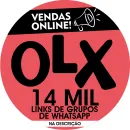 54- OLX CEARÁ