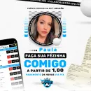 palpittes da paulinha