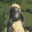 𝙨𝙪𝙧𝙩𝙤 𝙘𝙤𝙡𝙚𝙩𝙞𝙫𝙤 ☕