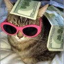 𝐼'𝑚 𝑗𝑢𝑠𝑡 𝑎 𝑔𝑖𝑟𝑙