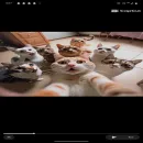 Amizades 🌍🇧🇷