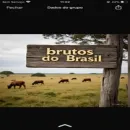 Brutos agro