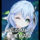 Amizades e Uso de Bot com Chatgpt