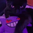 ⇣⃝⇣*•┈❀⃟♥️𝕏𝕆𝔻𝕆ℤ𝕀ℕℍ𝕆 𝔽ℝ𝔸𝕊𝔼𝕊