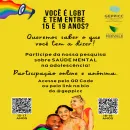 PESQUISA LGBT