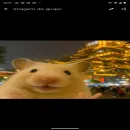 𝖉𝖔𝖓𝖔𝖘._.𝖉𝖆𝖘.𝖋𝖌