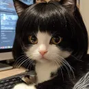 TRDO amizades virtual