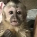 𝕻𝖖𝖕𝖔 𝕻𝖆𝖗𝖆𝖑𝖊𝖑𝖔