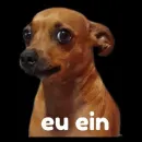 𝑹𝒆𝒊 𝒅𝒂𝒔 𝑭𝒊𝒈𝒖𝒓𝒊𝒏𝒉𝒂𝒔