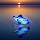 Gifs, figurinhas e frases