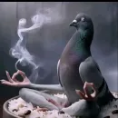 𝕣𝕖𝕤𝕖𝕟𝕙𝕒