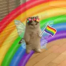 Grupo Lgbt 🏳️‍🌈