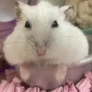👻 ɢʀᴜᴘᴏ ᴅᴇ ᴀᴍɪᴢᴀᴅᴇ 👻