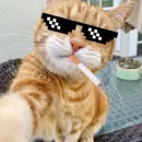 Chat das figurinhas
