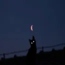 Lua