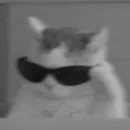 H᥆᥉ρίᥴι᥆ d᥆ Kᥲzᥙ