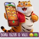 Grupo de WhatsApp PLATAFORMAS PAGANDO💸🎰