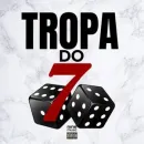 Grupo de WhatsApp Tropa do 7💸