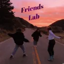 Grupo de WhatsApp Friend Lab 💠